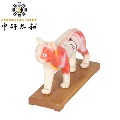 PVC de enseignement de modèle de corps d'acuponcture de 28cm Cat Acupuncture Model Chinese Medical