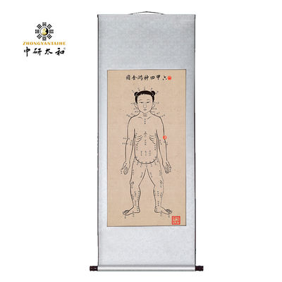 Produits pédagogiques de la culture de l'acupuncture pour comprendre le concept de Qi et de méridiens dans la médecine traditionnelle chinoise