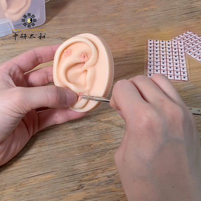 Graines naturelles de Vaccaria à oreille externe avec une date de péremption de 3 ans