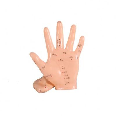 Modèle de corps d'acupuncture articulations flexibles pour un positionnement réaliste et une surface facile à nettoyer en entraînement