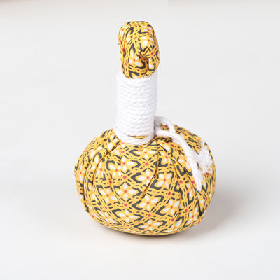Acuponcture de Moxibustion de sac à Artemisiae Moxa de Folium par la peau