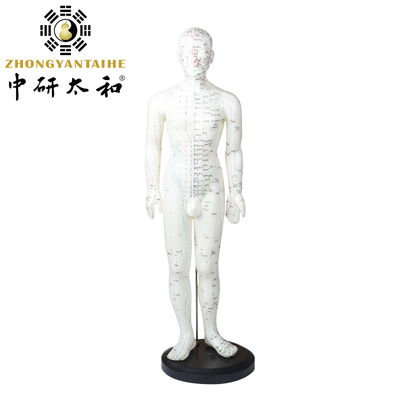 La polyvalence peut être utilisée pour diverses techniques d'acupuncture Modèle de corps Pesant environ 5 kg