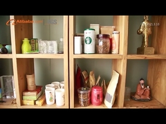 Beijing Zhongyan Taihe Medical Instrument Co., Ltd. Company Video