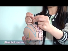 Aiguilles de pression d'acupuncture auriculaire Hwato favorisant efficacement la circulation sanguine 0,22*1,5mm